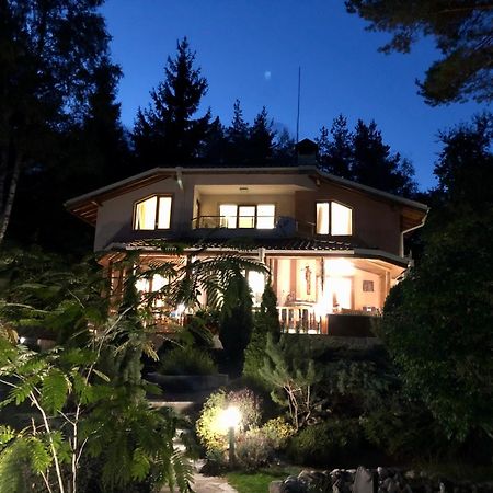 Luxury Villa Borina Zheleznitsa Eksteriør billede