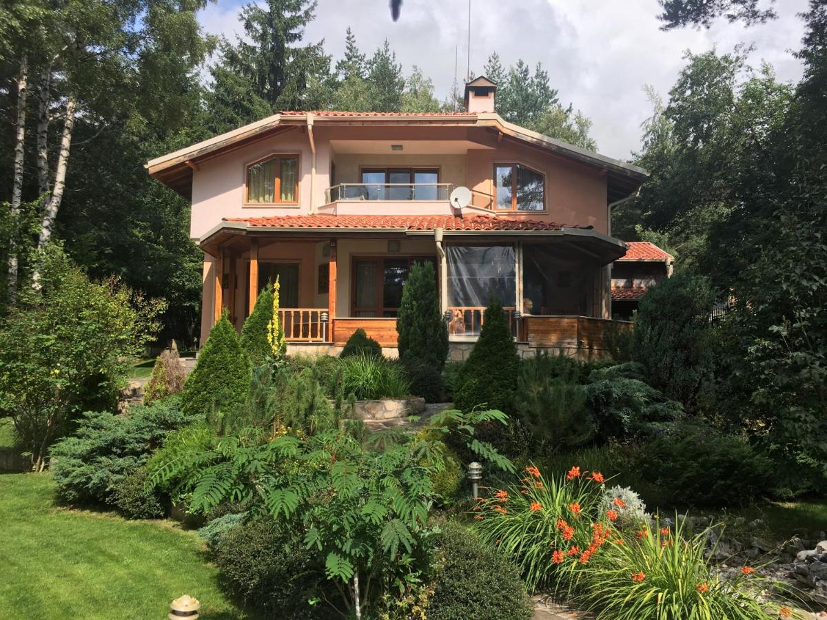Luxury Villa Borina Zheleznitsa Eksteriør billede