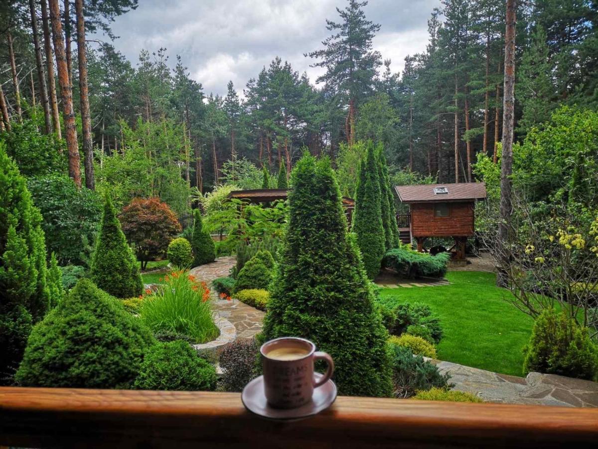 Luxury Villa Borina Zheleznitsa Eksteriør billede