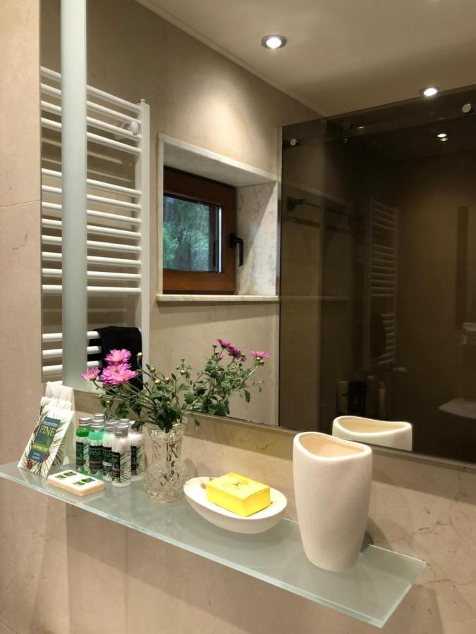 Luxury Villa Borina Zheleznitsa Eksteriør billede