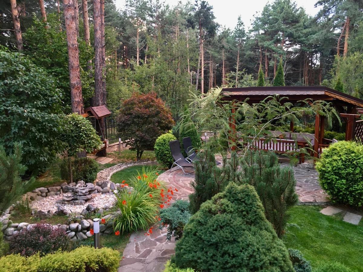 Luxury Villa Borina Zheleznitsa Eksteriør billede