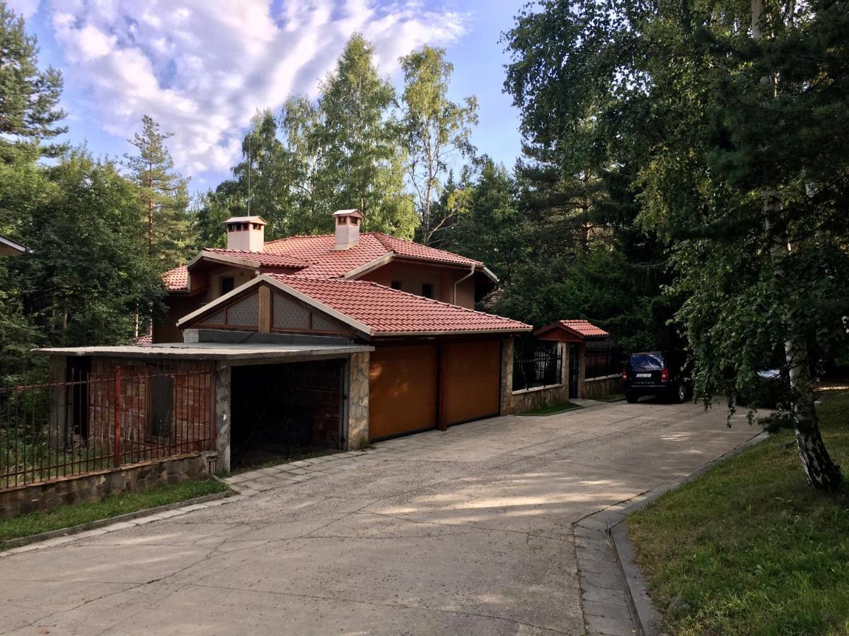 Luxury Villa Borina Zheleznitsa Eksteriør billede