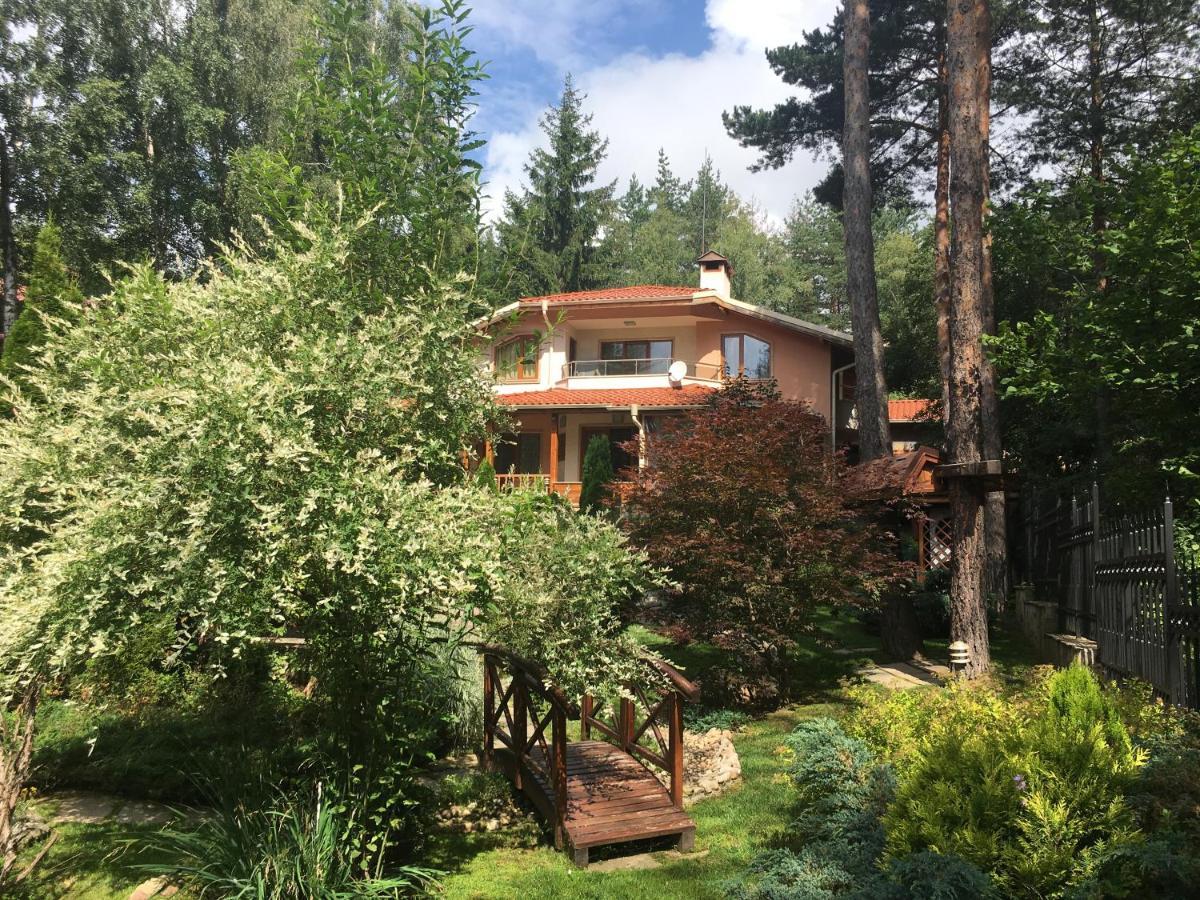 Luxury Villa Borina Zheleznitsa Eksteriør billede