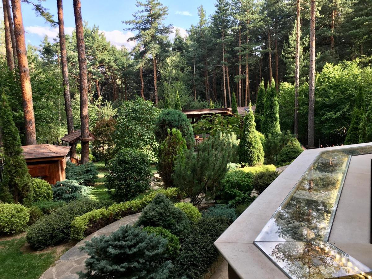 Luxury Villa Borina Zheleznitsa Eksteriør billede