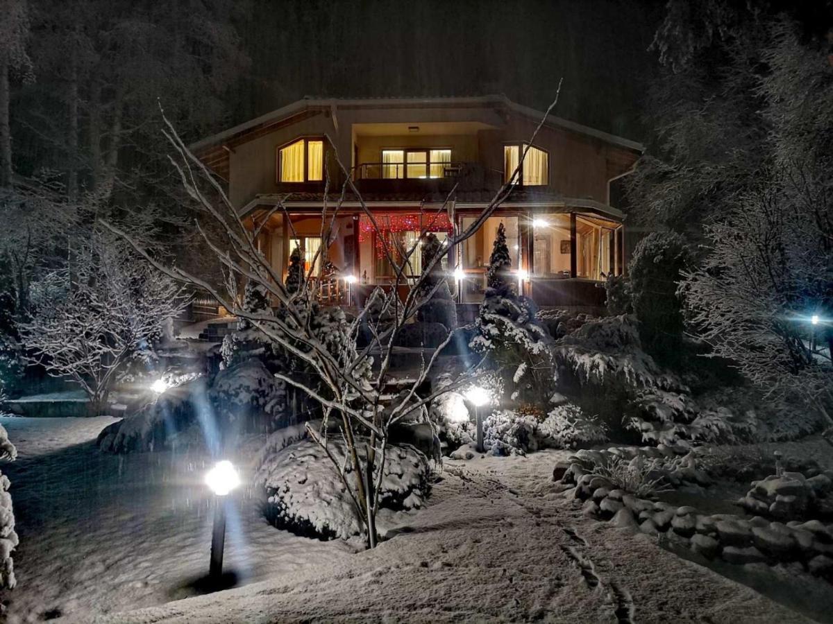 Luxury Villa Borina Zheleznitsa Eksteriør billede