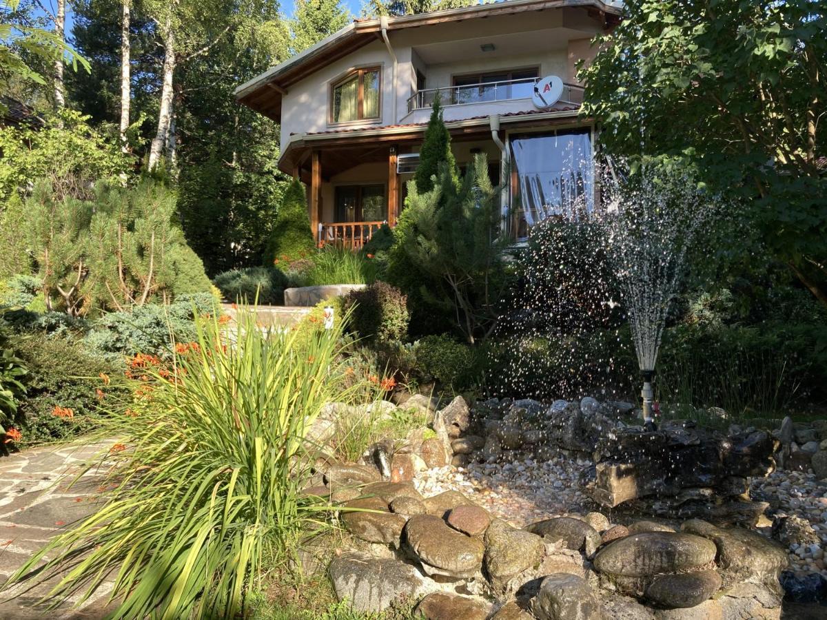 Luxury Villa Borina Zheleznitsa Eksteriør billede
