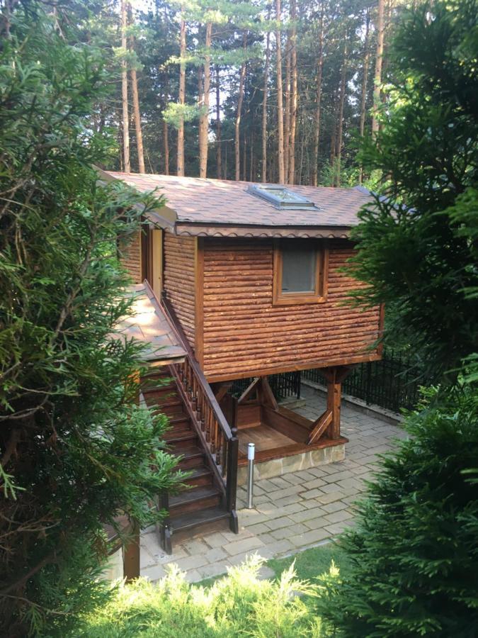 Luxury Villa Borina Zheleznitsa Eksteriør billede