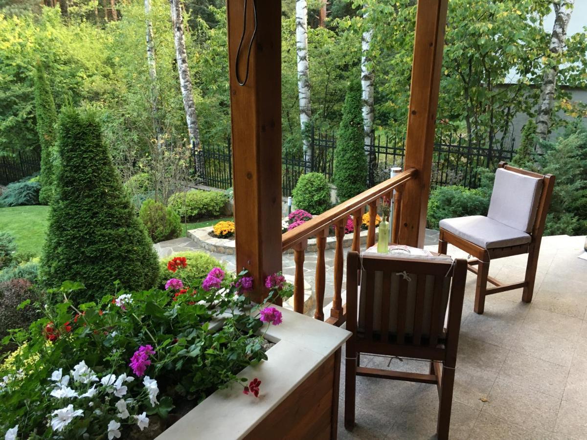 Luxury Villa Borina Zheleznitsa Eksteriør billede