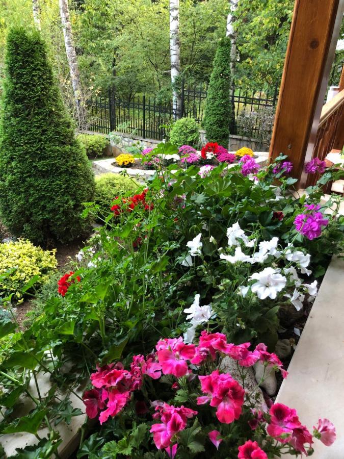 Luxury Villa Borina Zheleznitsa Eksteriør billede