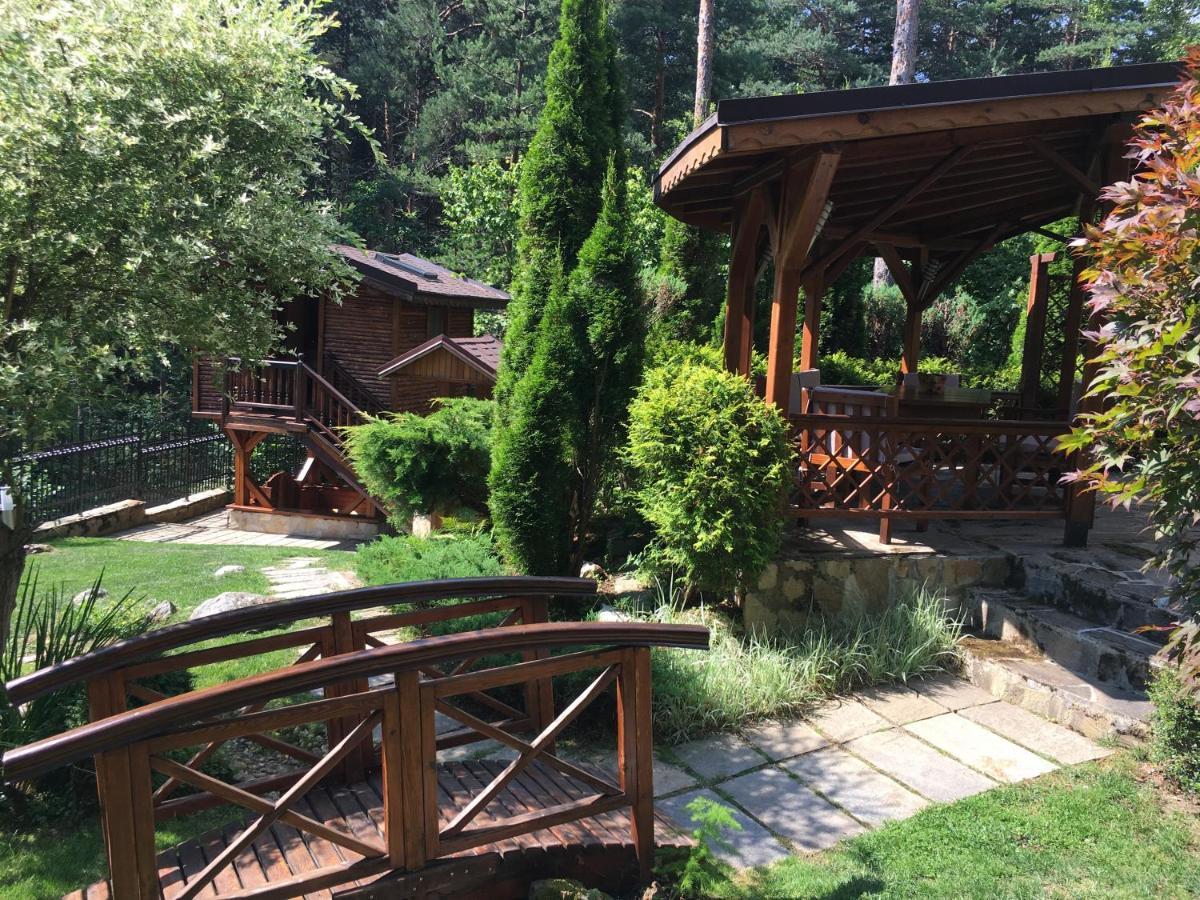 Luxury Villa Borina Zheleznitsa Eksteriør billede
