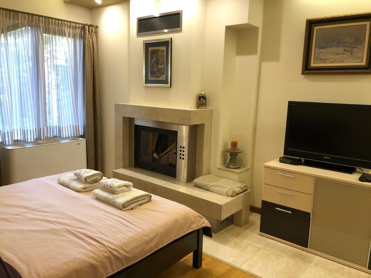 Luxury Villa Borina Zheleznitsa Eksteriør billede
