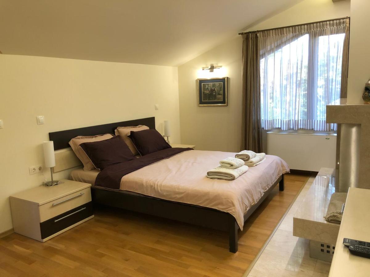 Luxury Villa Borina Zheleznitsa Eksteriør billede