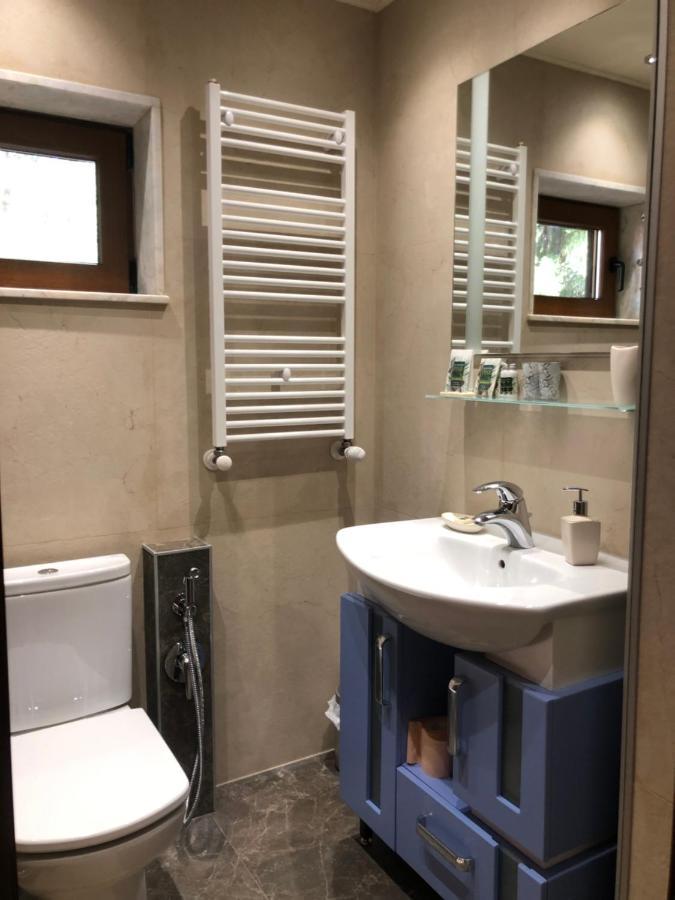Luxury Villa Borina Zheleznitsa Eksteriør billede