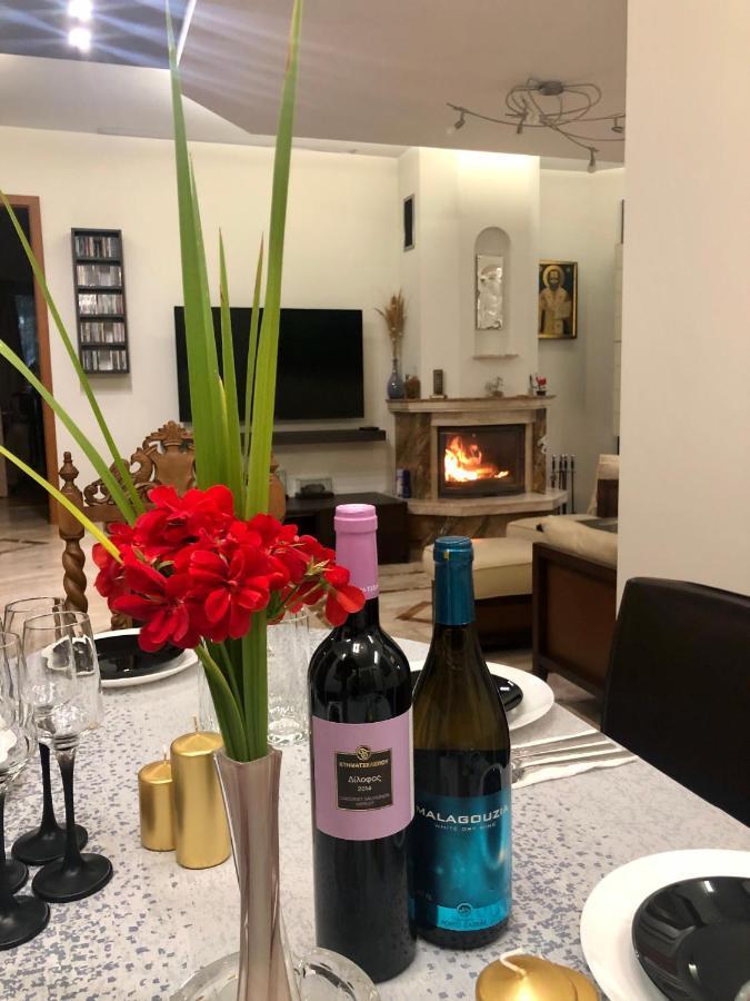 Luxury Villa Borina Zheleznitsa Eksteriør billede