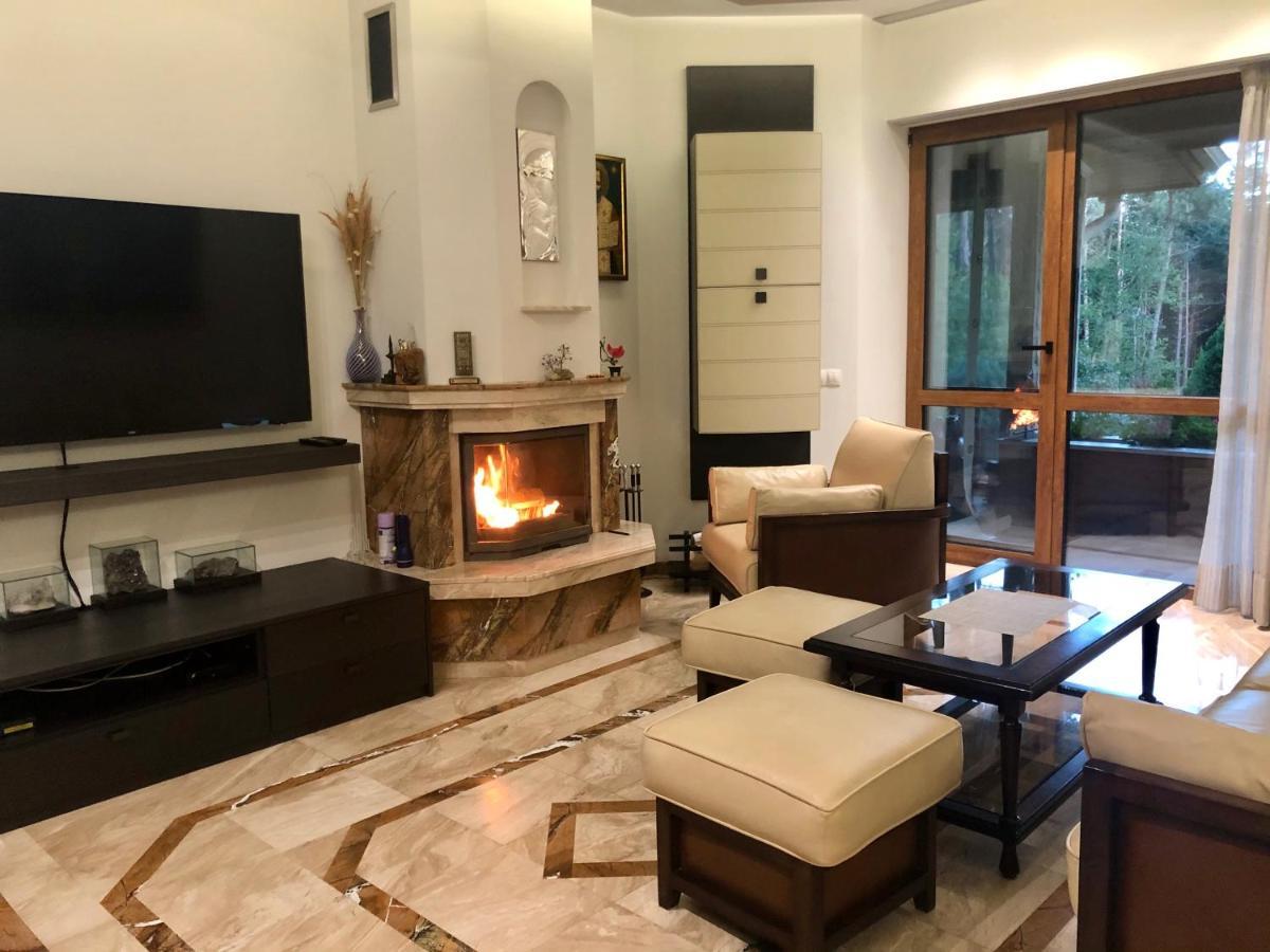 Luxury Villa Borina Zheleznitsa Eksteriør billede