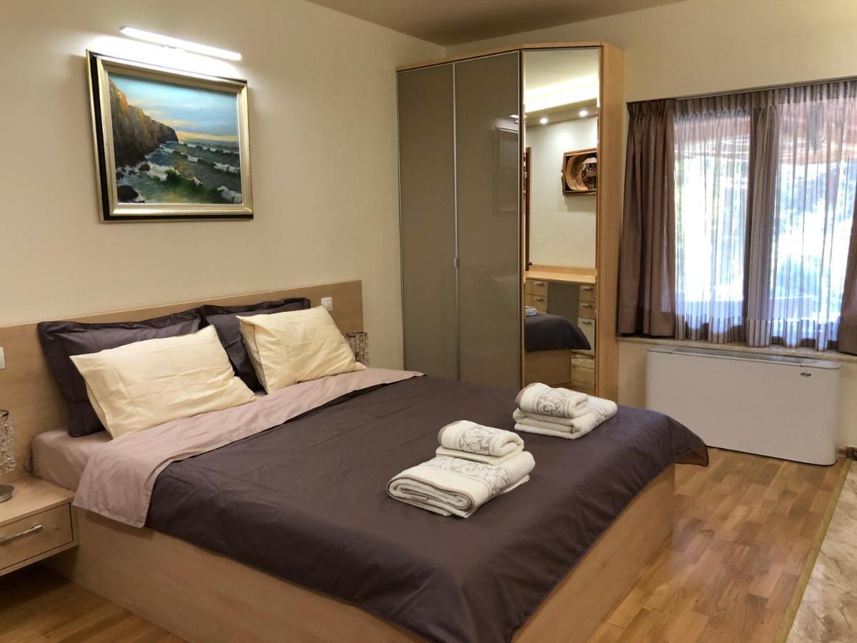 Luxury Villa Borina Zheleznitsa Eksteriør billede