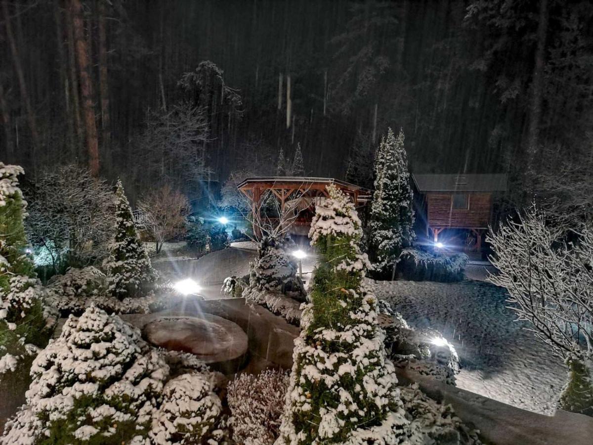 Luxury Villa Borina Zheleznitsa Eksteriør billede